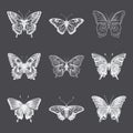 Vector Monochrome Black and White Hand Drawn Butterfly Icon Set Isolated on White Background. Butterflies Collection Royalty Free Stock Photo