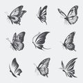 Vector Monochrome Black and White Hand Drawn Butterfly Icon Set Isolated on White Background. Butterflies Collection Royalty Free Stock Photo