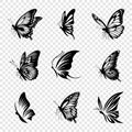 Vector Monochrome Black and White Hand Drawn Butterfly Icon Set Isolated. Butterflies Collection, Vintage Vector Design Royalty Free Stock Photo