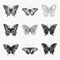 Vector Monochrome Black and White Hand Drawn Butterfly Icon Set Isolated on White Background. Butterflies Collection Royalty Free Stock Photo