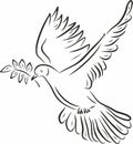 Vector monochrome flying dove with an olive branch in its beak Royalty Free Stock Photo