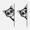 Vector Monochrome Hand Drawm Black, White Hiding Peeking Kitten. Peeking Kitten Head. Cat Peeks Out from Around the