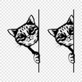 Vector Monochrome Hand Drawm Black, White Hiding Peeking Kitten. Kitten Head with Paws Up Peeking Over Blank White