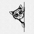 Vector Monochrome Hand Drawm Black, White Hiding Peeking Kitten. Peeking Kitten Head with Paw. Cat Peeks Out from Around
