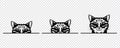 Vector Monochrome Hand Drawm Black, White Hiding Peeking Kitten Set Isolated. Kitten Head Peeking Over Blank White