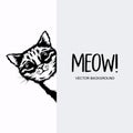 Vector Monochrome Hand Drawn Black, White Hiding Peeking Kitten. Kitten Head Peeking Over Vertical Blank White Placard