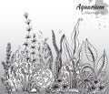 Vector monochrome hand drawn illustration with aquarium algae