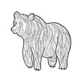 Vector monochrome hand drawn zentagle illustration of bear.