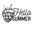 Vector monochrome illustration of raspberry logo. Many similarities vector slogan Hello Summer