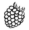 Vector monochrome illustration of raspberry logo.