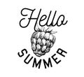 Vector monochrome illustration of raspberry logo. Many similarities vector slogan Hello Summer