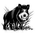 Vector monochrome illustration with a wild boar in thicket of grass Royalty Free Stock Photo