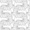 Vector Monochrome Seamless Floral Pattern Royalty Free Stock Photo