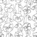 Vector monochrome seamless pattern with outline Pansy or Heartsease or Viola flower, ornate leaf and bud in black on the white.