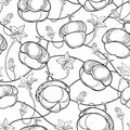 Vector monochrome seamless pattern with outline Pumpkins with ornate flower in black on the white background. Contour Pumpkins.