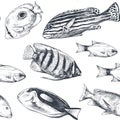 Vector monochrome seamless sea pattern with tropical fish. Underwater world. Royalty Free Stock Photo