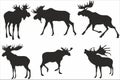 Vector monochrome set of moose silhouettes.