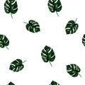 Vector Monstera Pattern