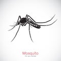 Vector of a Mosquito design on white background. Insect. Animal Royalty Free Stock Photo