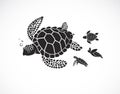 Vector of mother turtle and baby turtle on a white background. Reptile. Animals. Easy editable layered vector illustration Royalty Free Stock Photo