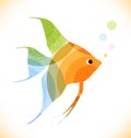 Vector multicolor fish scalar