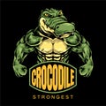 vector of muscle a crocodile fit to fitness gym logo