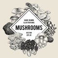 Vector mushroom illustrations. Hand drawn set of different fungus kinds. Vector banner or logo template. Vintage