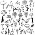 Vector mushrooms and forest symbols on a white background