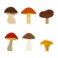 Vector mushrooms set. Isolated on white background cartoon mushrooms.