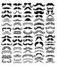 Vector mustache silhouette isolated