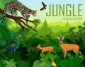 Vector myanmar jungle forest with clouded leopard, Green peafowl, deers, frog and butterflies