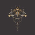 Vector mystic celestial sticker a with golden outline insect, stars and crescents. Occult linear label with a butterfly with skull