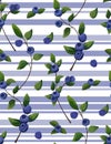 Vector natural Seamless pattern of blueberry branch, forest fruit with green leaves greenery watercolor style wallpaper Royalty Free Stock Photo