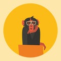 Vector nature illustration, flat icon of monkey