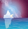 Polar bear, iceberg, sea and nothern lights Royalty Free Stock Photo