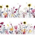 Vector nature seamless background with hand drawn wild herbs, flowers and leaves on white. Doodle style floral Royalty Free Stock Photo