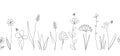 Vector nature seamless border with wild herbs and flowers on white. Continuous line drawing background. Doodle hand Royalty Free Stock Photo