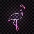 Vector Neon Light Pink Flamingo Isolated on Dark Background, 2019 Color Trend. Royalty Free Stock Photo