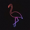 Vector Neon Line At Flamingo, Gradient Color Light, Outline Animal Silhouette, Isolated. Royalty Free Stock Photo