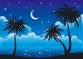 Vector night coast Royalty Free Stock Photo