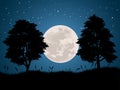 Vector night landscape with full moon, stars and tree silhouette Royalty Free Stock Photo
