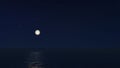 Vector Night landscape the sea with full moon Royalty Free Stock Photo