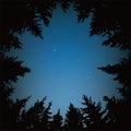 Vector night sky with stars and dark forest trees