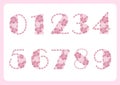 Vector numerals from pink painting flowers on white