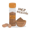 Vector nutmeg illustration isolated in cartoon style. Spanish name