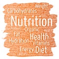 Vector nutrition health diet paint brush word cloud Royalty Free Stock Photo