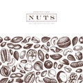 Vector nuts design. Hand drawn pecan, macadamia, pine nuts, walnut, almond, pistachio, chestnut, peanut, brazil nut, hazelnut,