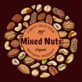 Vector nuts label, different types of nuts illustration Royalty Free Stock Photo