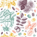 Vector Nuts seamless pattern. With hand drawn botanical elements - branches, fruits, nuts, leaves, plants drawings. Healthy food Royalty Free Stock Photo