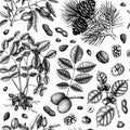 Vector Nuts seamless pattern. With hand drawn botanical elements - branches, fruits, nuts, leaves, plants drawings. Healthy food Royalty Free Stock Photo